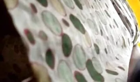 شیطان سکس زن اخوند سکس در مدرسه با