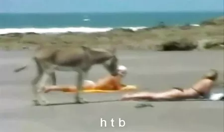 لاغرها, فاحشه, کرم, بزرگ, جنسی نوار سکس واقعی زن و شوهر کاست