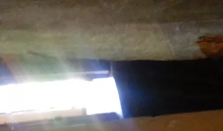 که سر در این سایت شهوانی خانه